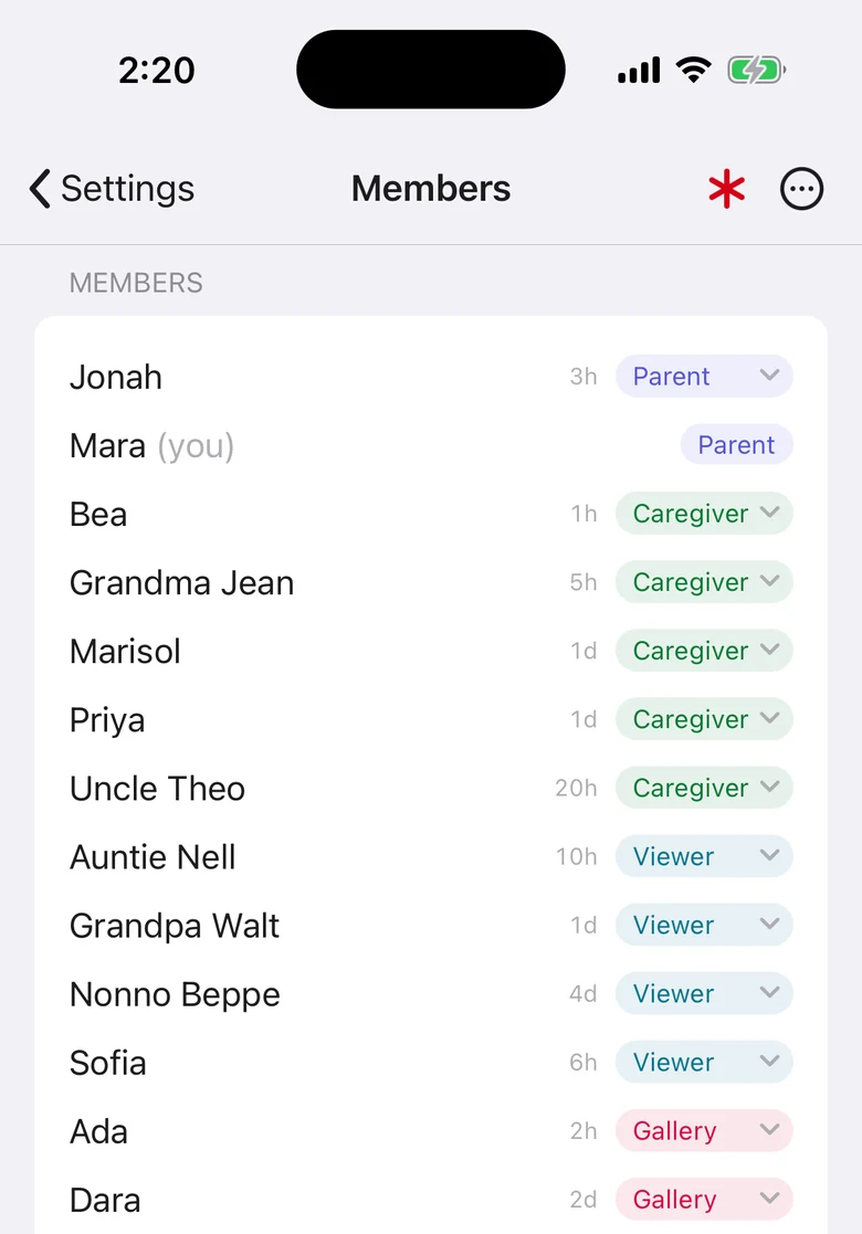 The members screen, cut off partway down a household of twenty: Jonah and Mara as Parent, five Caregivers, four Viewers, and the gallery members still going past the bottom of the phone.