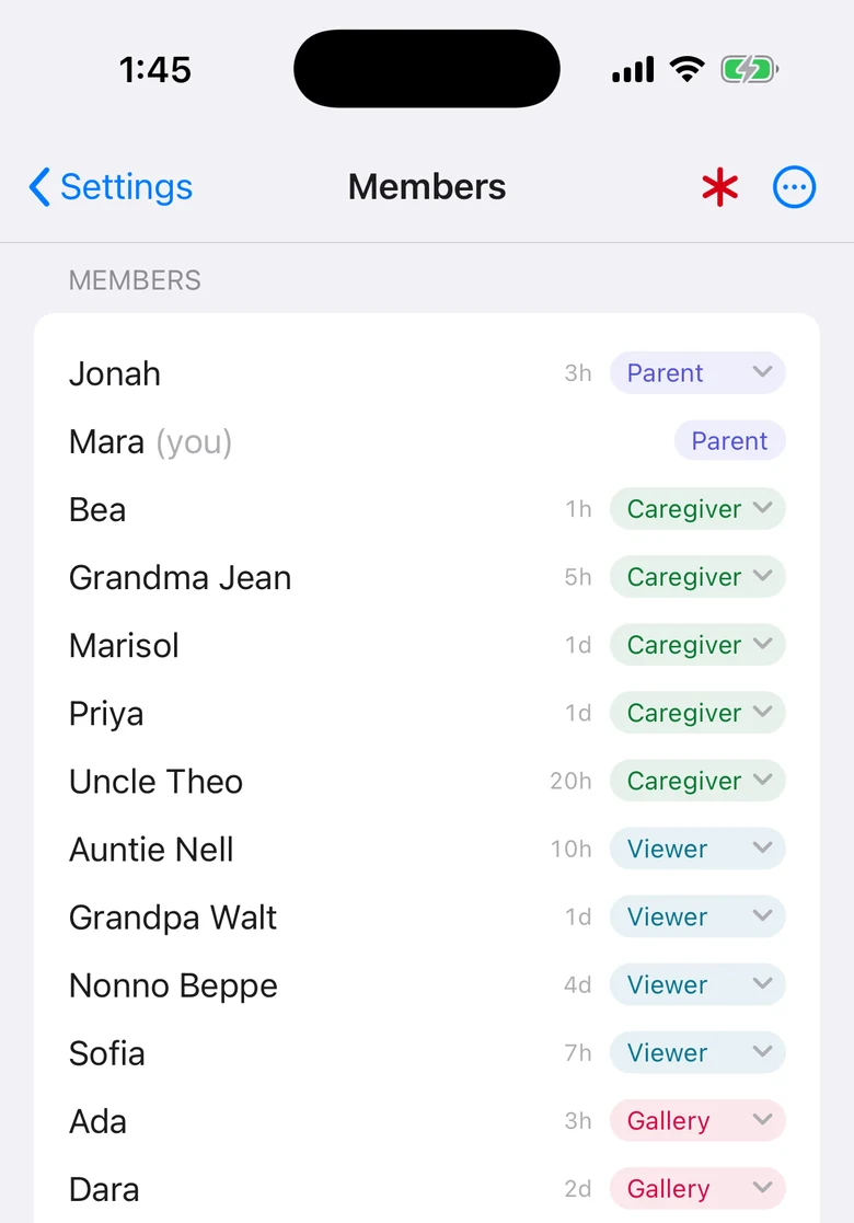 The members screen, cut off partway down a household of twenty: Jonah and Mara as Parent, five Caregivers, four Viewers, and the gallery members still going past the bottom of the phone.