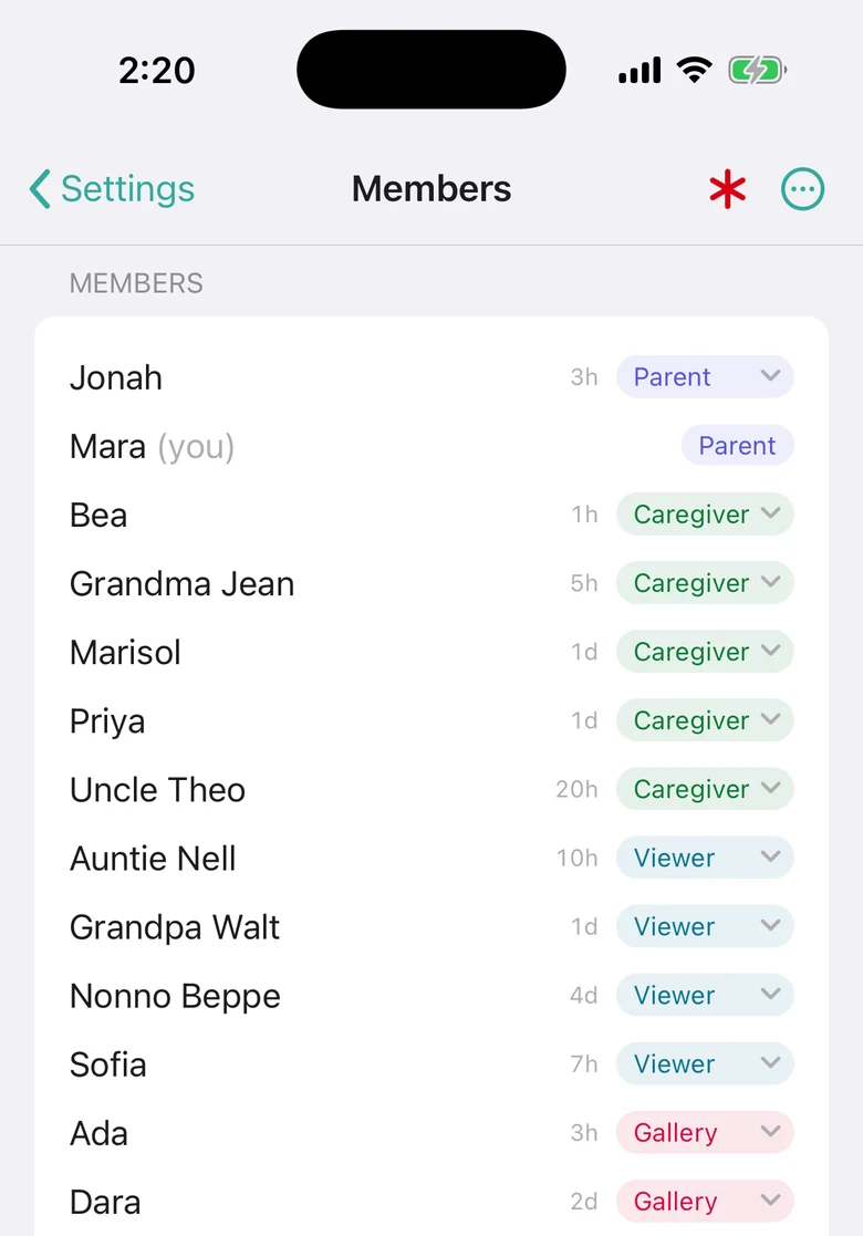 The members screen, cut off partway down a household of twenty: Jonah and Mara as Parent, five Caregivers, four Viewers, and the gallery members still going past the bottom of the phone.